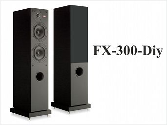 Projekt  STX FX-300-Diy