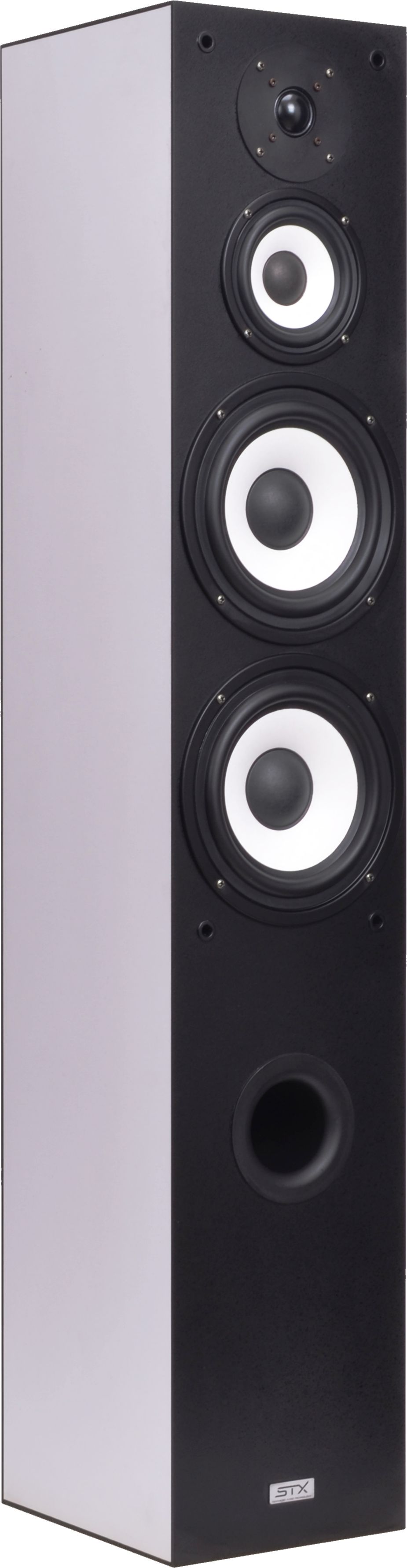 STX Graviton 250 speakers
